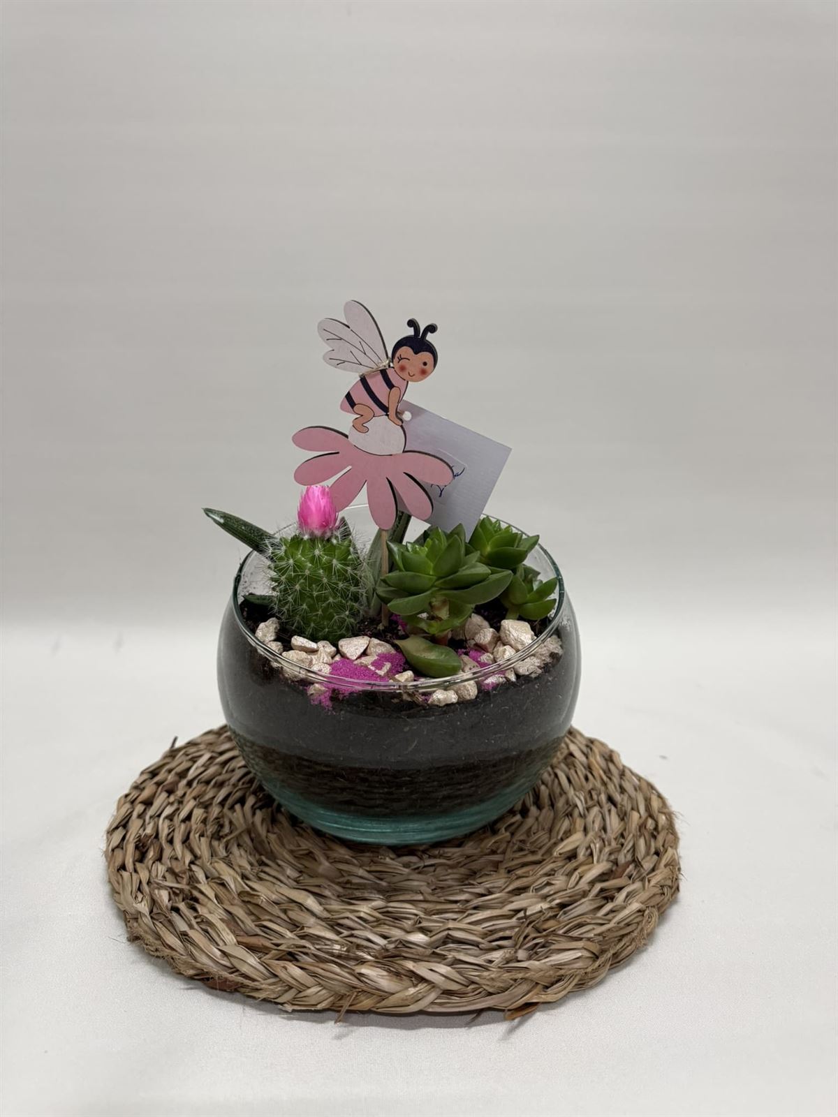 Terrario en base de cristal en tono fucsia - Imagen 1