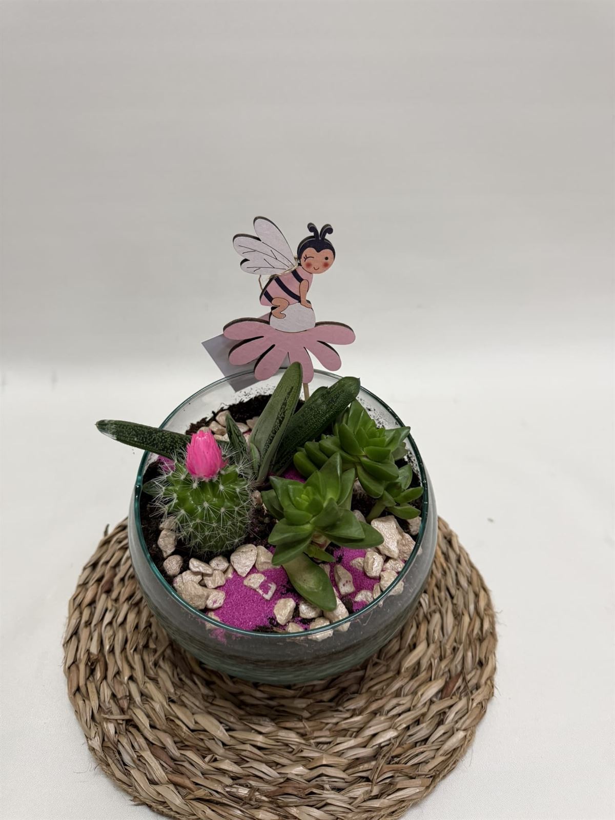 Terrario en base de cristal en tono fucsia - Imagen 2