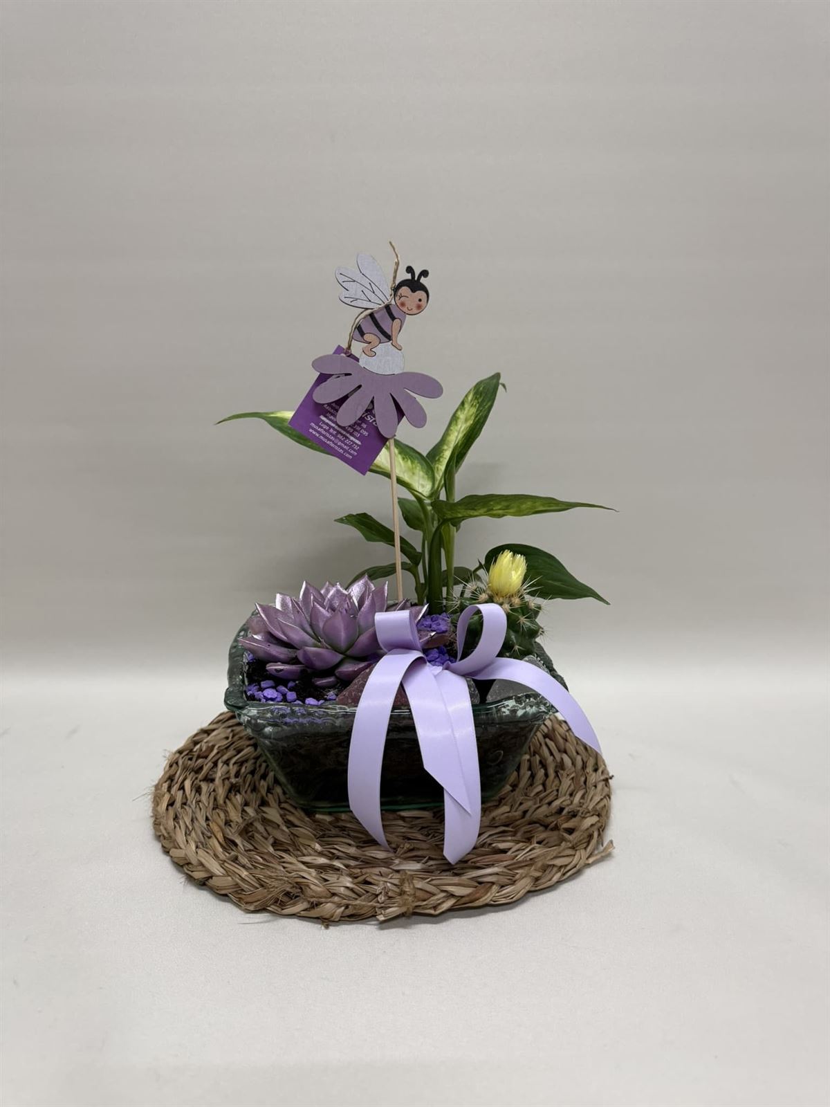 Terrario en base de cristal en tono lila - Imagen 1