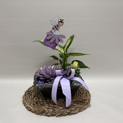 Terrario en base de cristal en tono lila - Imagen 1