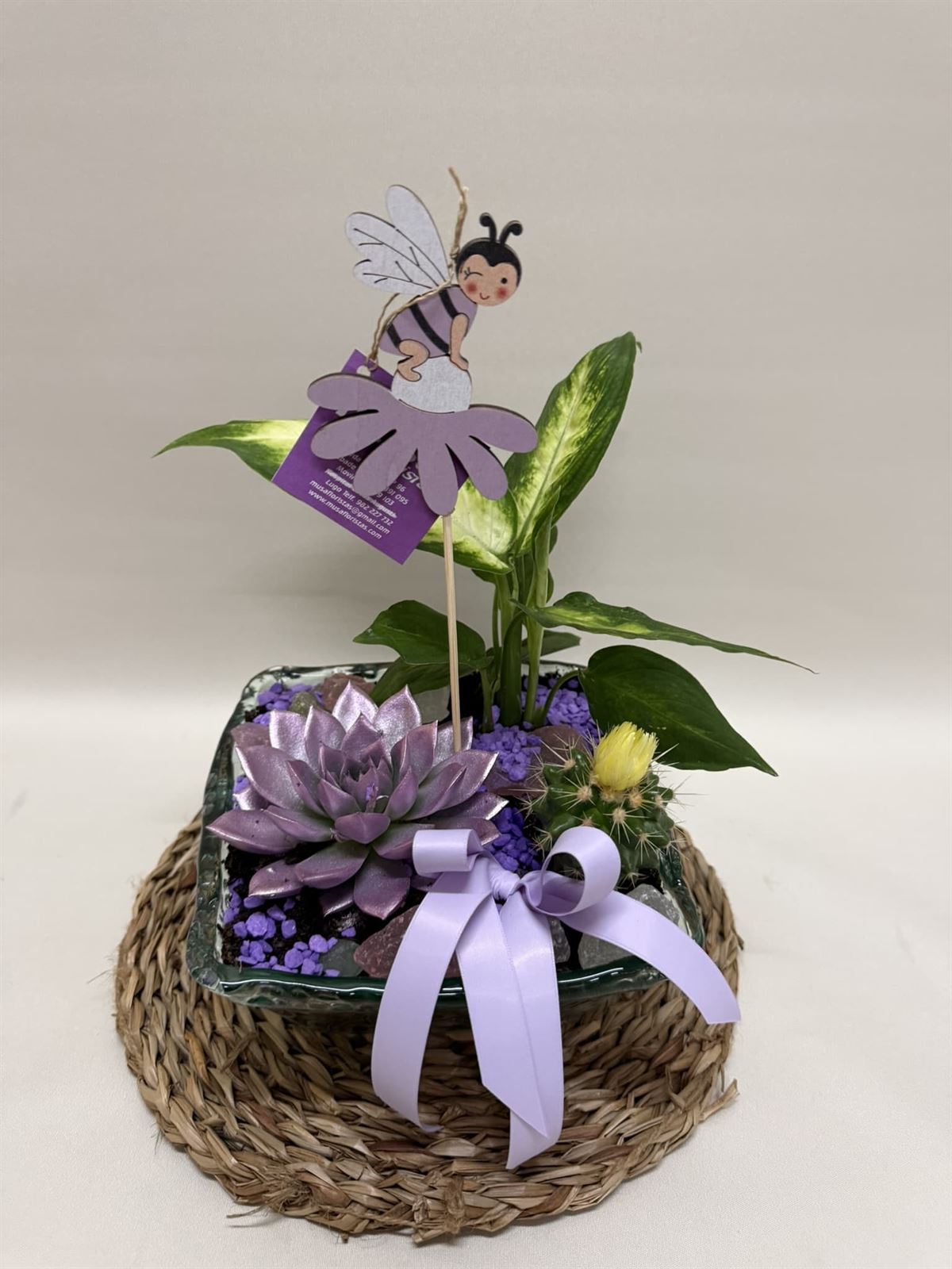 Terrario en base de cristal en tono lila - Imagen 2