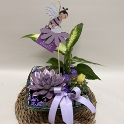 Terrario en base de cristal en tono lila - Imagen 2