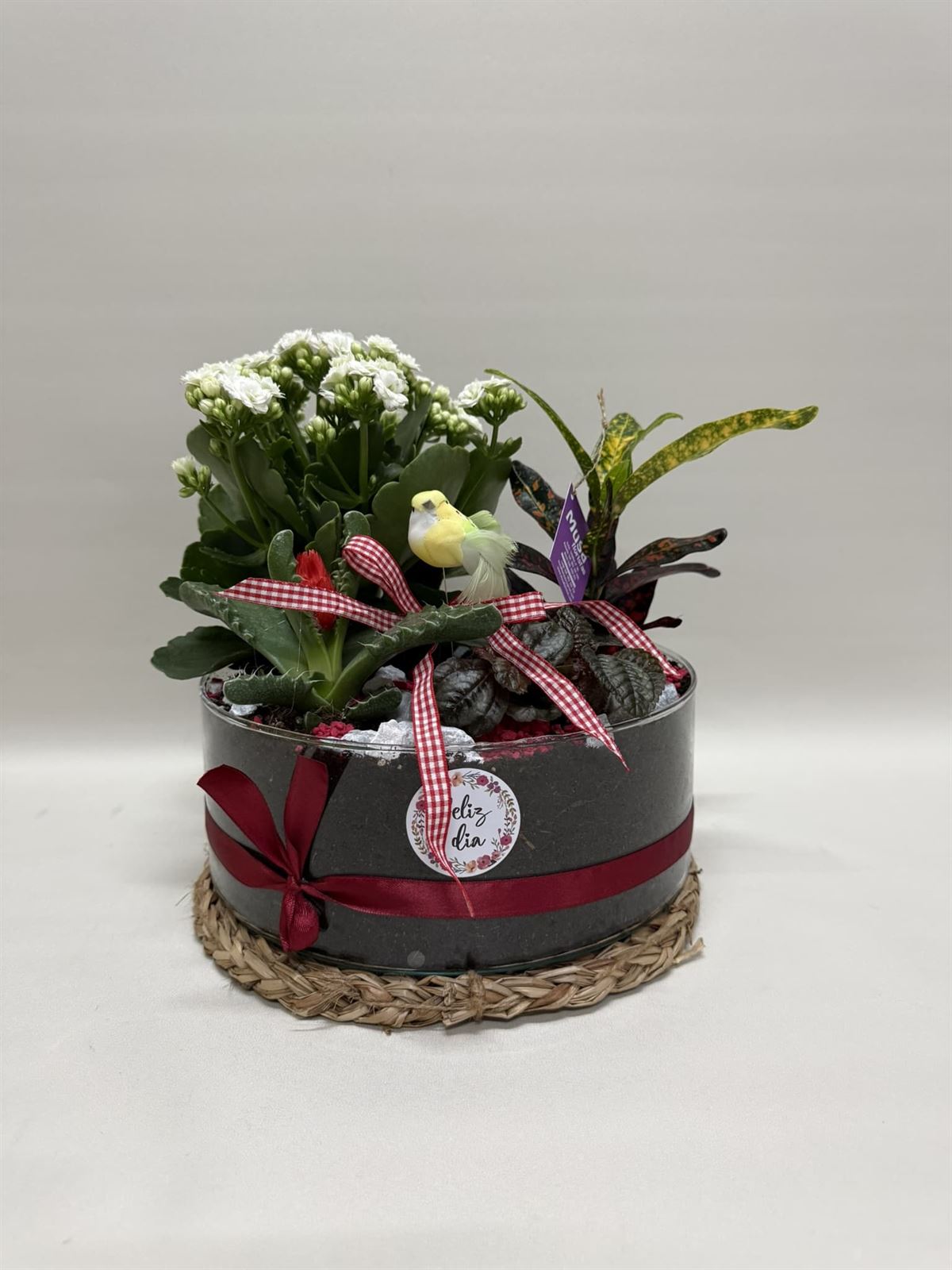 Terrario en base de cristal en tono rojo - Imagen 1