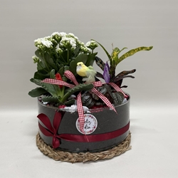 Terrario en base de cristal en tono rojo - Imagen 1