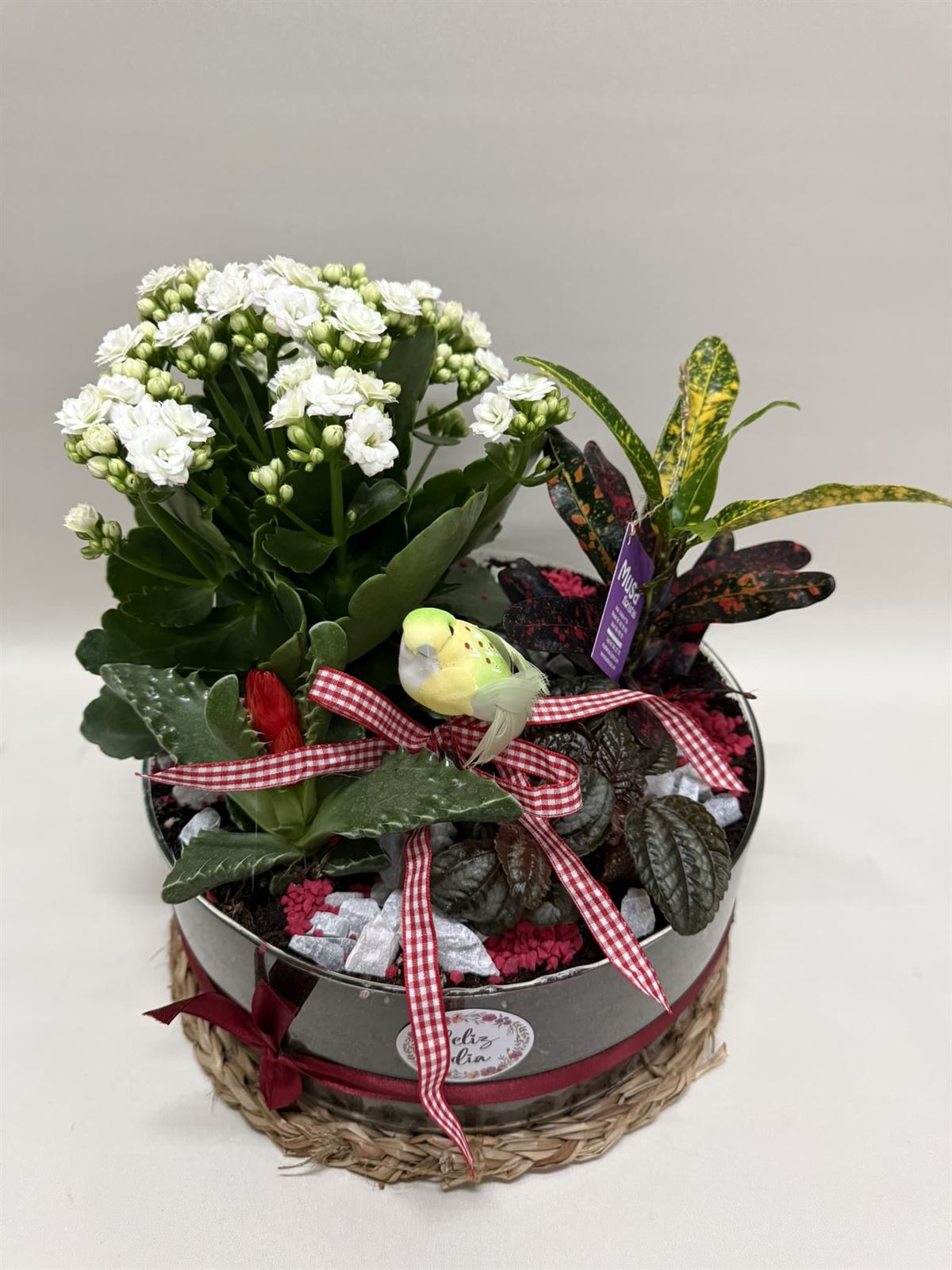 Terrario en base de cristal en tono rojo - Imagen 2