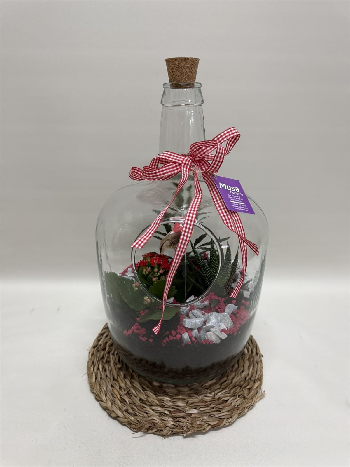 Terrario en base de cristal en tono rojo - Imagen 1