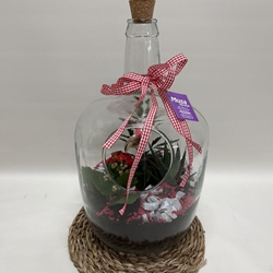 Terrario en base de cristal en tono rojo - Imagen 1