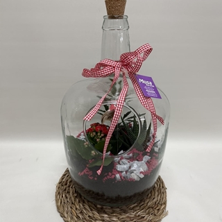 Terrario en base de cristal en tono rojo - Imagen 1