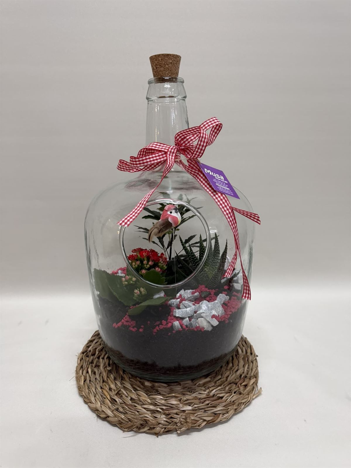 Terrario en base de cristal en tono rojo - Imagen 2