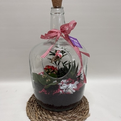 Terrario en base de cristal en tono rojo - Imagen 2