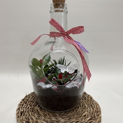 Terrario en base de cristal en tono rojo - Imagen 1