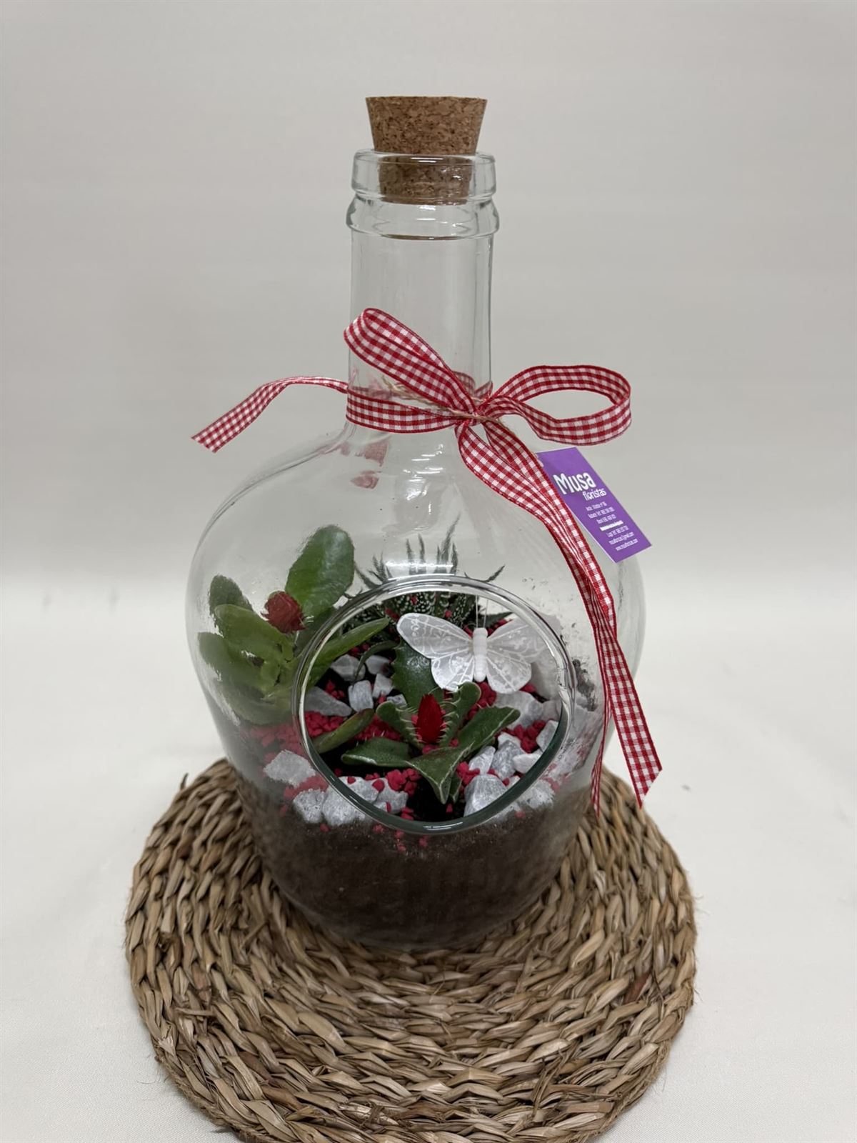 Terrario en base de cristal en tono rojo - Imagen 2