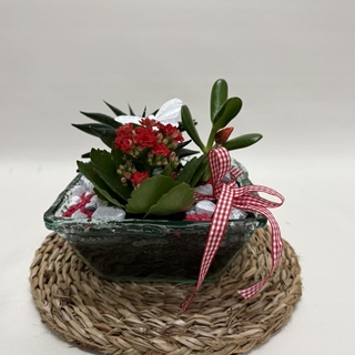 Terrario en base de cristal en tono rojos - Imagen 1