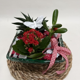 Terrario en base de cristal en tono rojos - Imagen 2