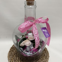 Terrario en base de cristal en tono rosa - Imagen 2