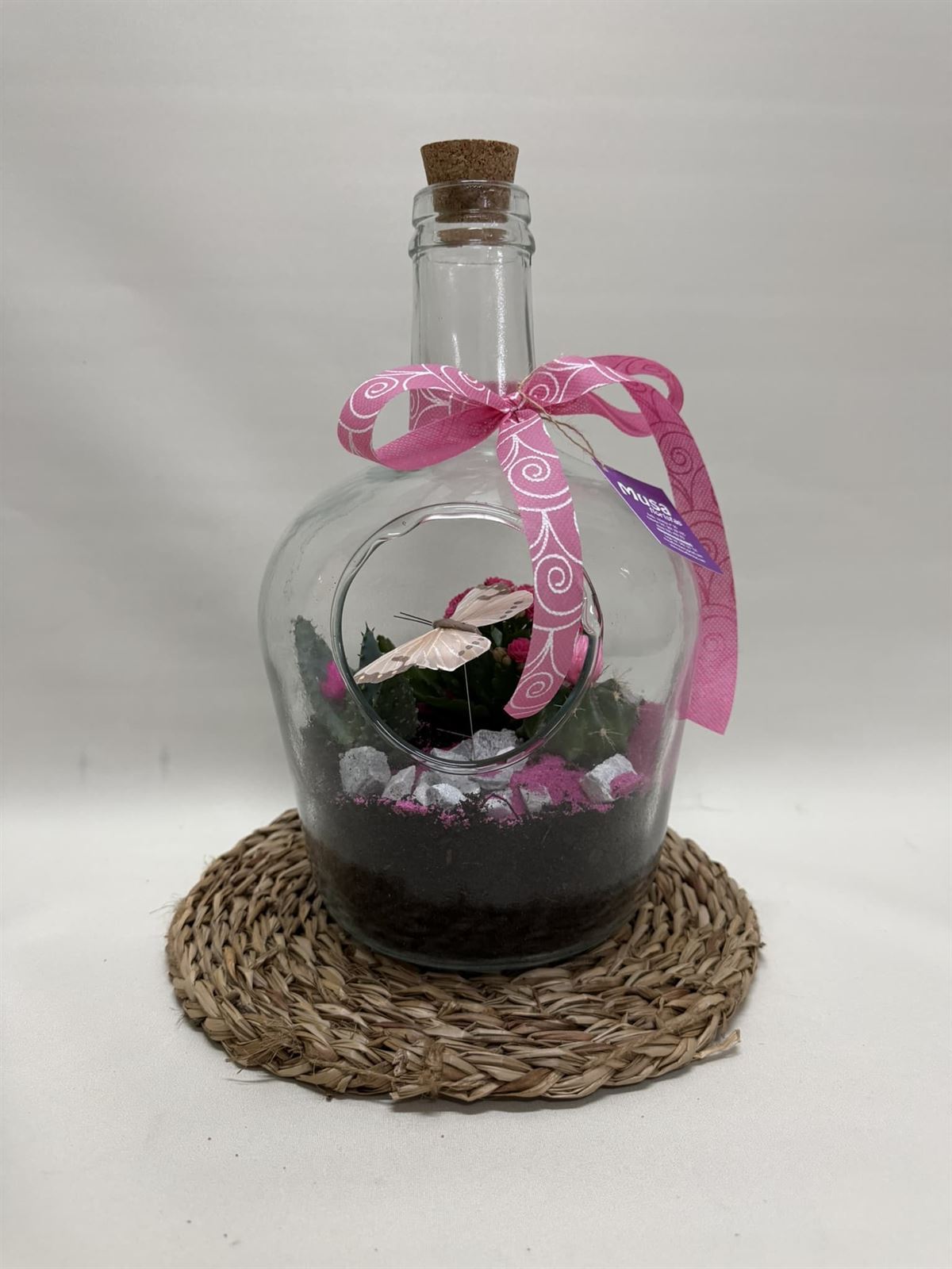 Terrario en base de cristal en tono rosa - Imagen 3