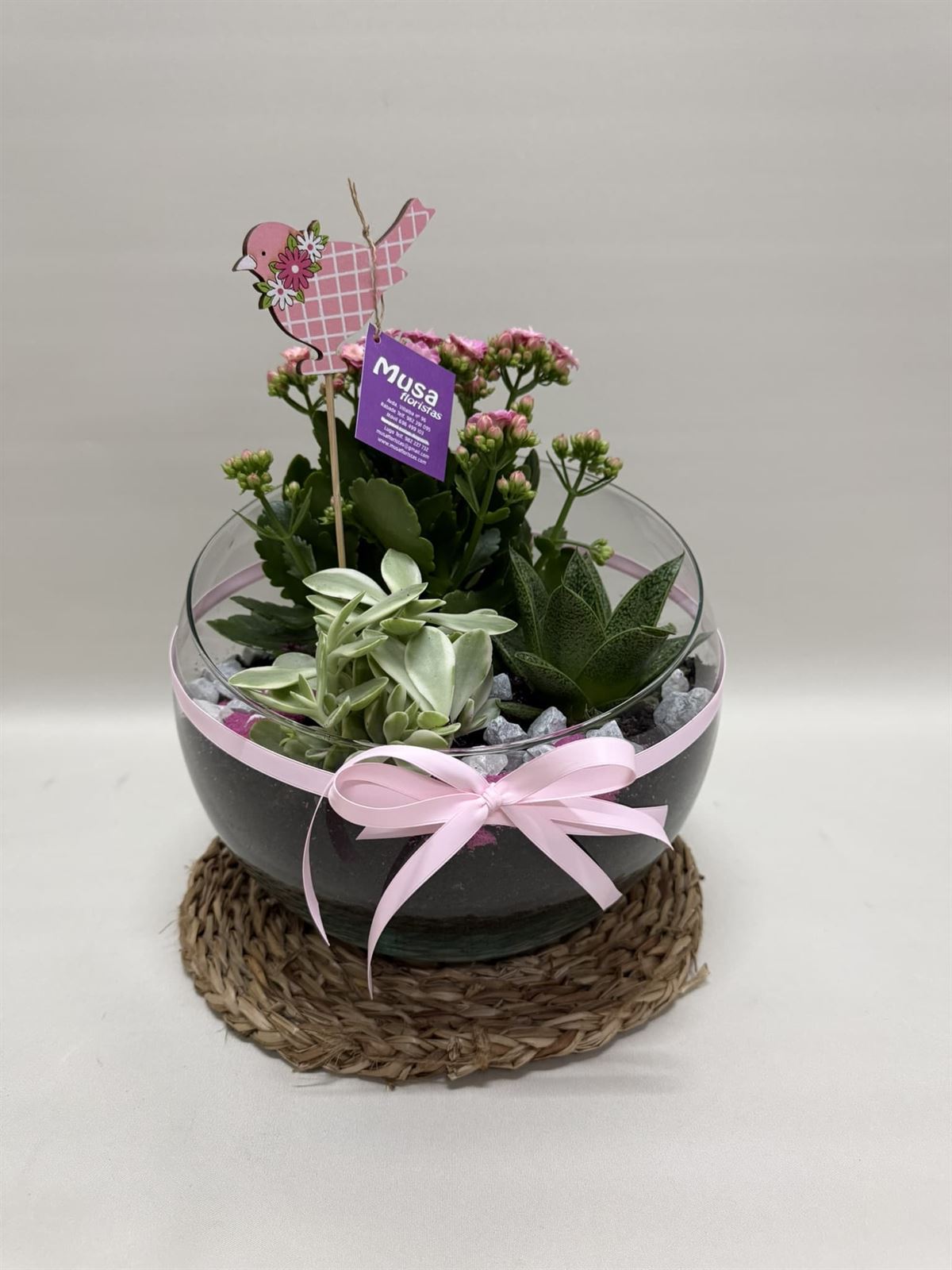 Terrario en base de cristal en tono rosa - Imagen 1