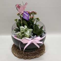 Terrario en base de cristal en tono rosa - Imagen 1