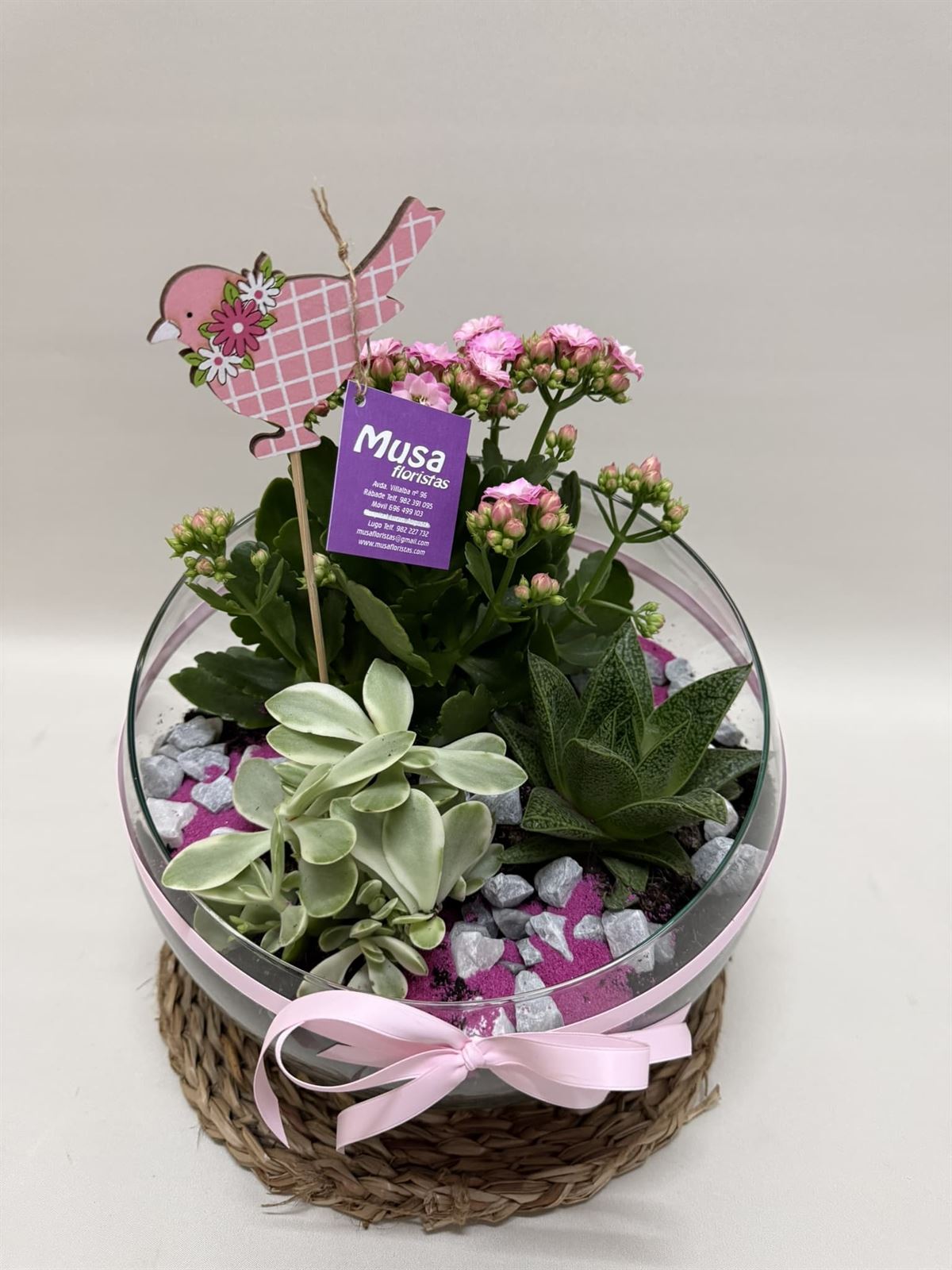 Terrario en base de cristal en tono rosa - Imagen 2