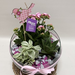 Terrario en base de cristal en tono rosa - Imagen 2