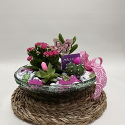 Terrario en base de cristal en tono rosa - Imagen 1