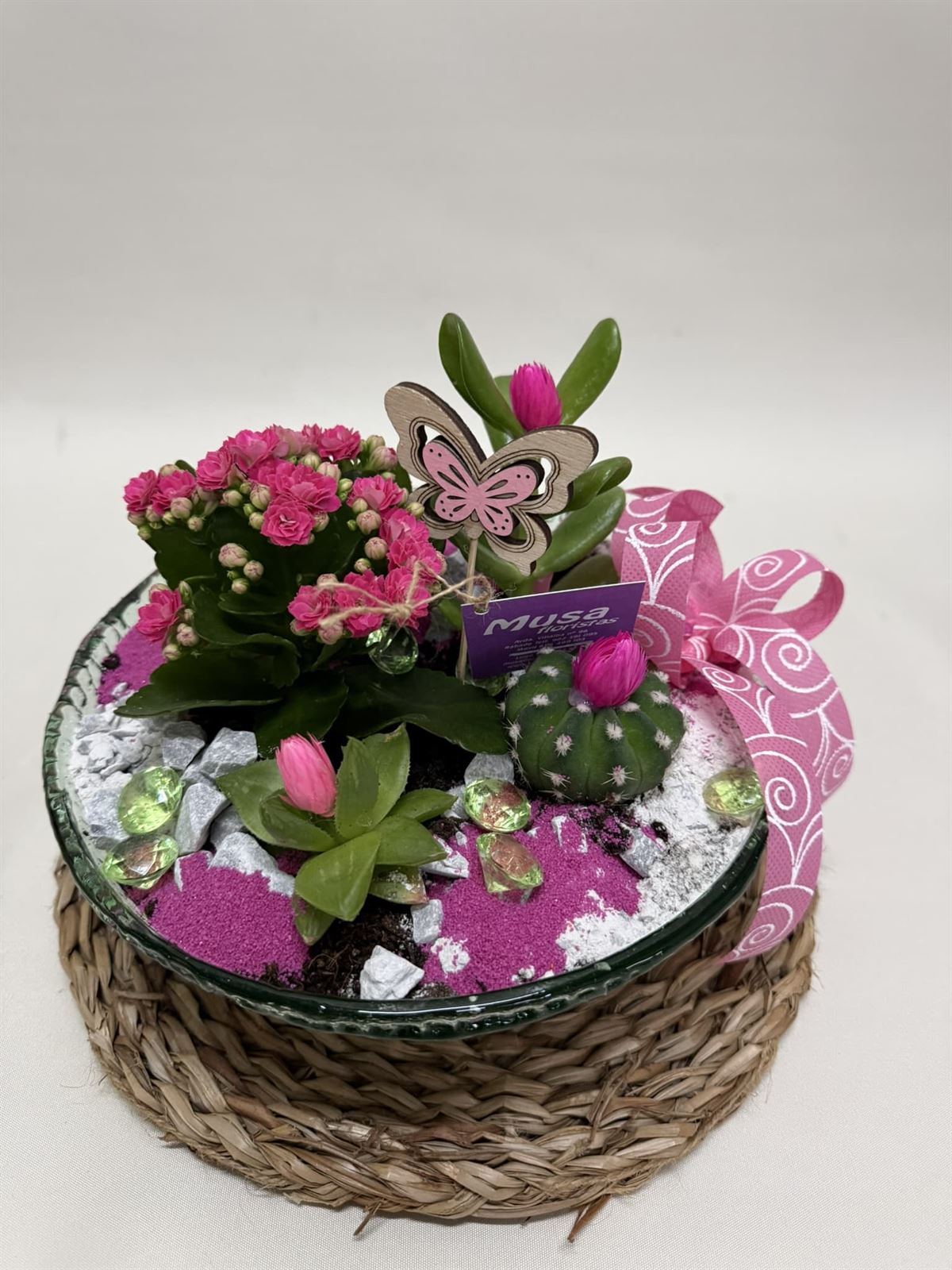 Terrario en base de cristal en tono rosa - Imagen 2