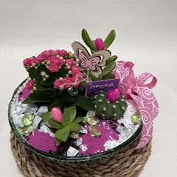 Terrario en base de cristal en tono rosa - Imagen 2