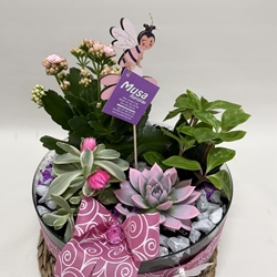 Terrario en base de cristal en tono rosas - Imagen 2