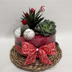 Terrario en base de cristal tono rojo - Imagen 1