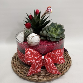 Terrario en base de cristal tono rojo - Imagen 1