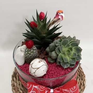 Terrario en base de cristal tono rojo - Imagen 2