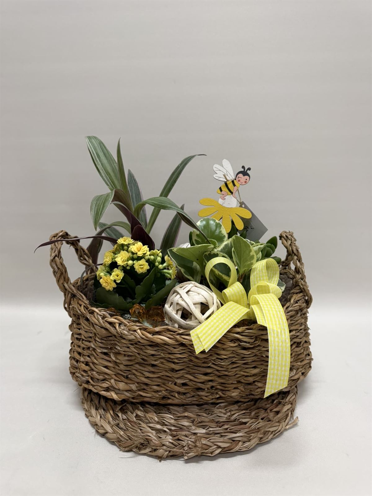 Terrario en base de mimbre en tono amarillo - Imagen 1