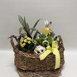 Terrario en base de mimbre en tono amarillo - Imagen 1