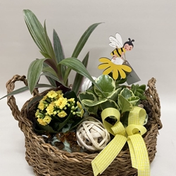 Terrario en base de mimbre en tono amarillo - Imagen 2