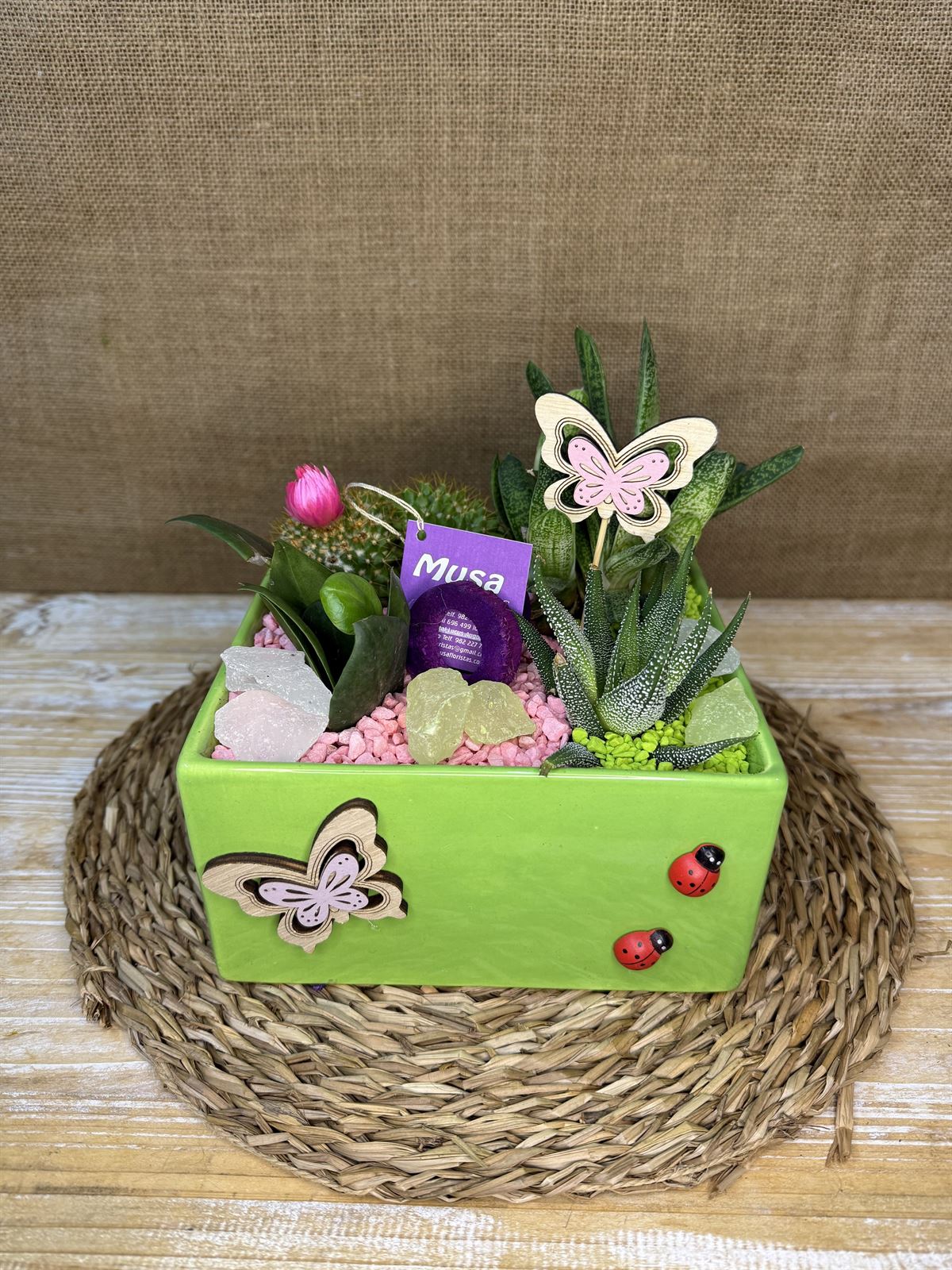 Terrario en cerámica cuadrada verdes - Imagen 1