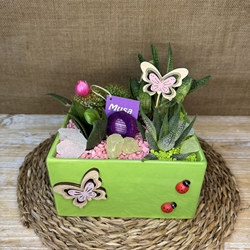 Terrario en cerámica cuadrada verdes - Imagen 1