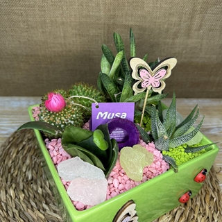 Terrario en cerámica cuadrada verdes - Imagen 2