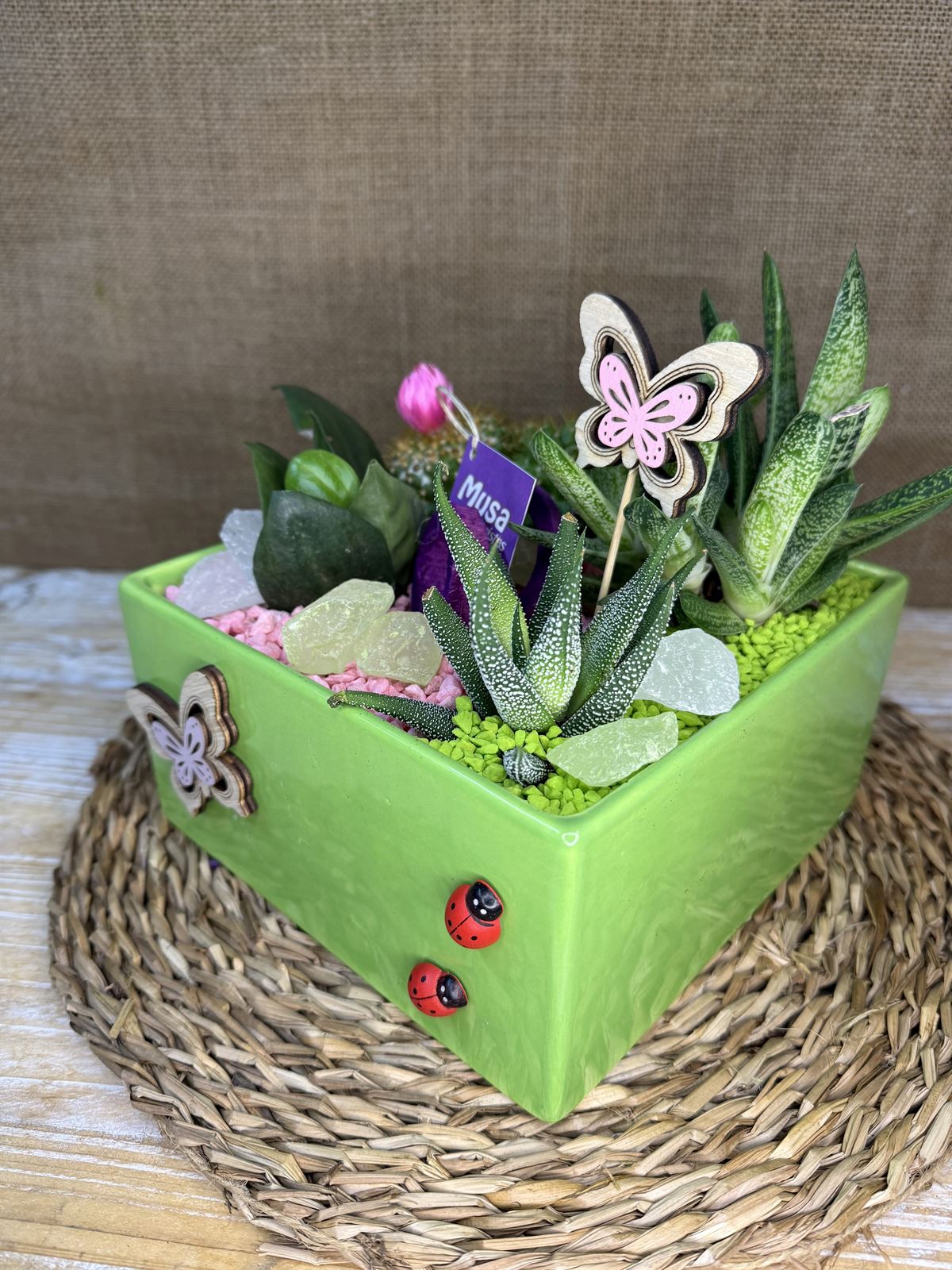 Terrario en cerámica cuadrada verdes - Imagen 3