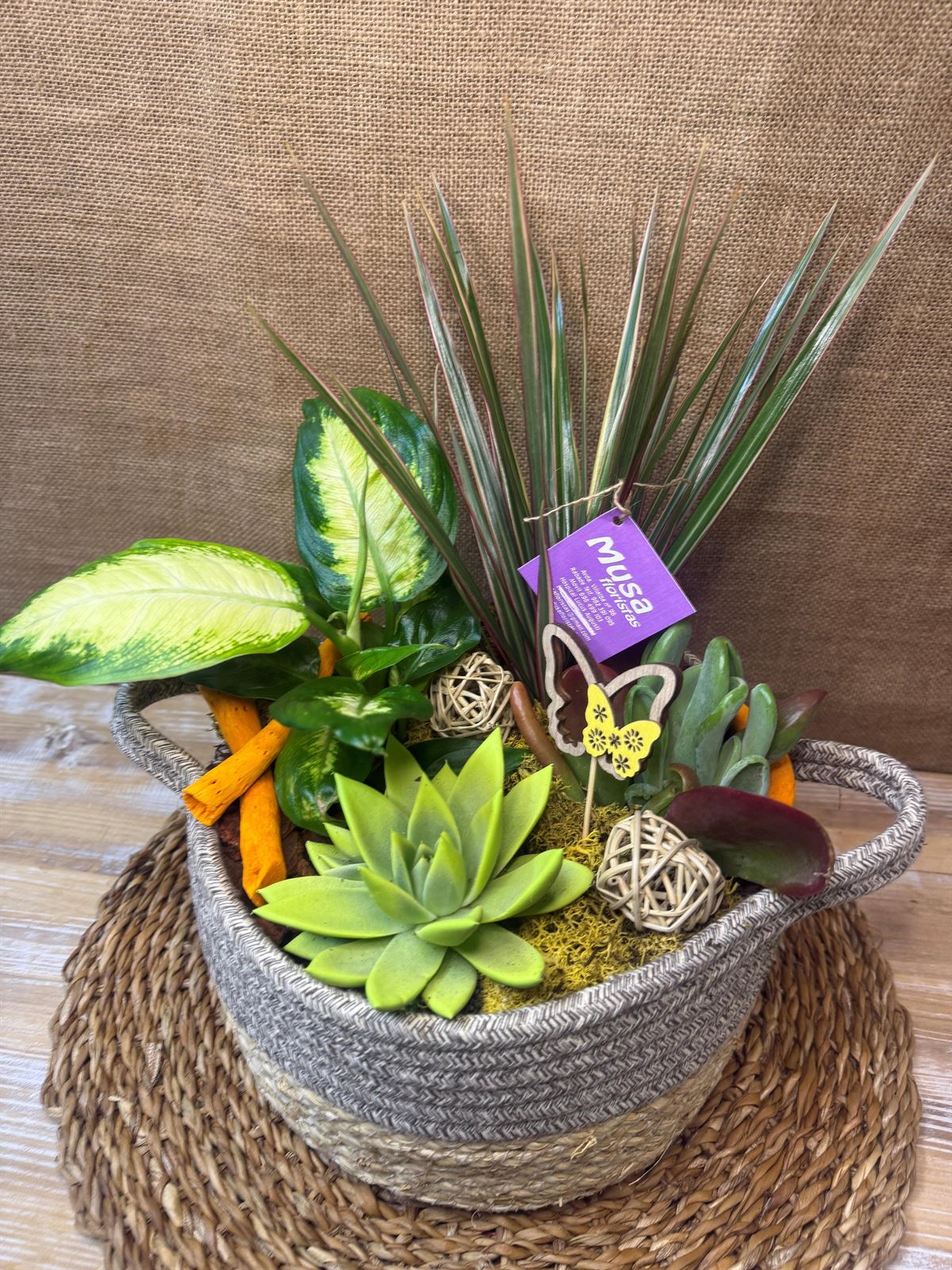 Terrario en cesta de algodón grande - Imagen 4