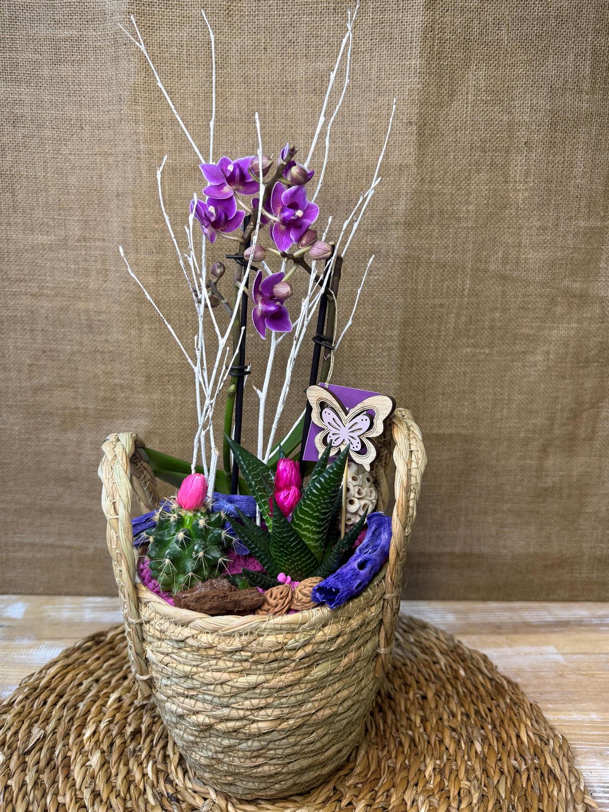 Terrario en cesta de mimbre en tonos morados - Imagen 1