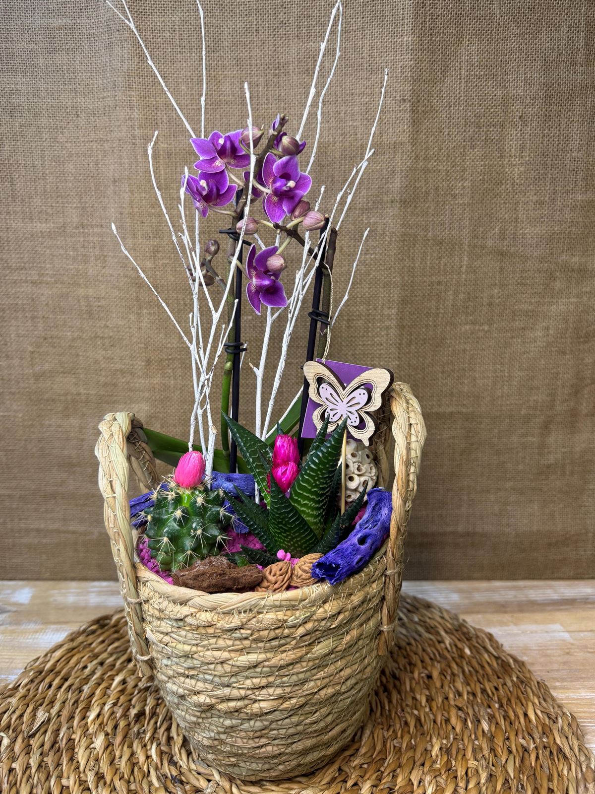 Terrario en cesta de mimbre en tonos morados - Imagen 3