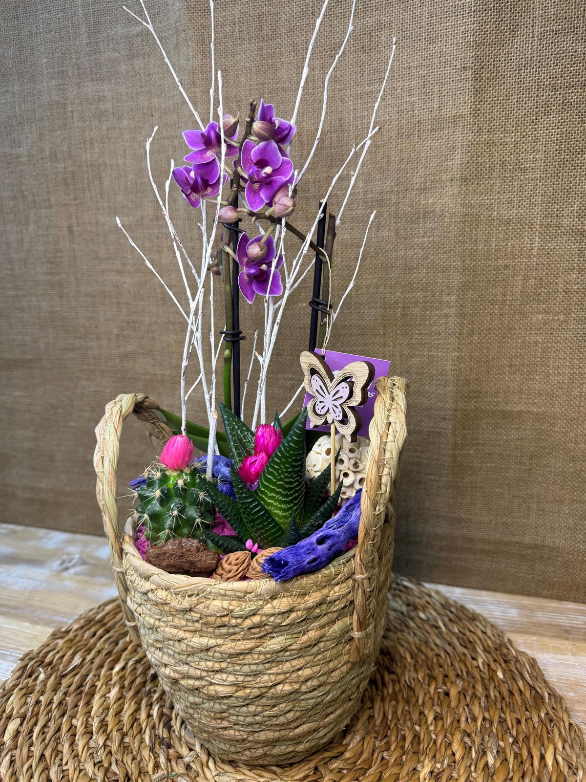 Terrario en cesta de mimbre en tonos morados - Imagen 4