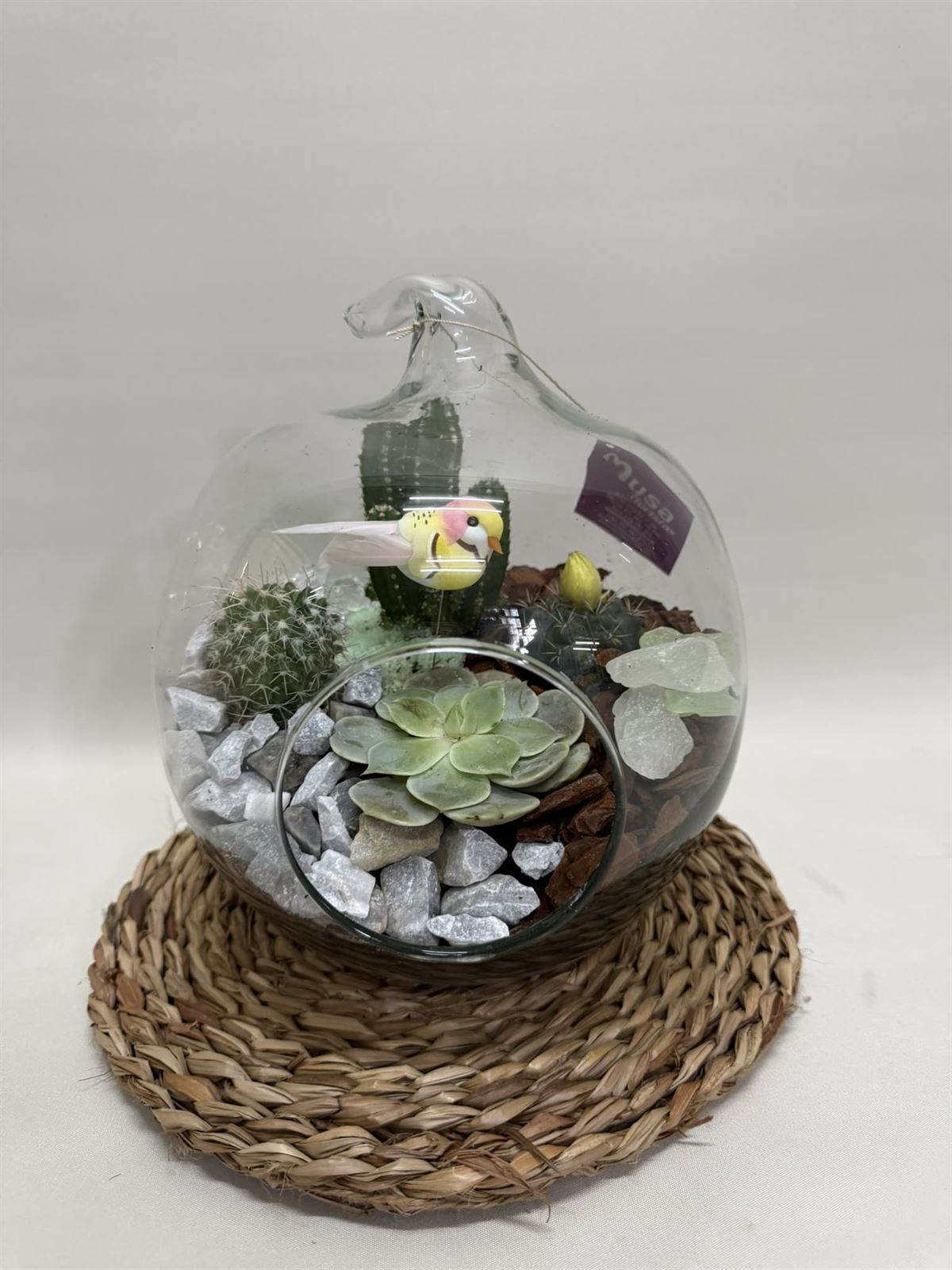 Terrario en cristal en forma de manzana - Imagen 1