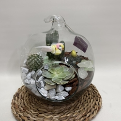 Terrario en cristal en forma de manzana - Imagen 1