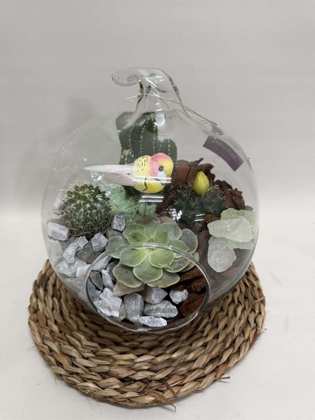 Terrario en cristal en forma de manzana - Imagen 2