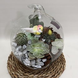 Terrario en cristal en forma de manzana - Imagen 2