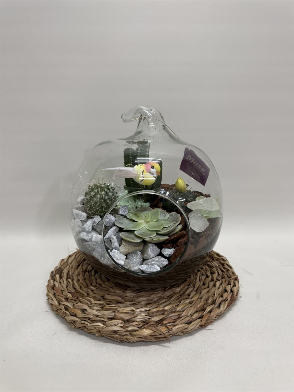 Terrario en cristal en forma de manzana - Imagen 3