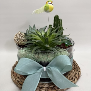 Terrario en cristal en tono verde - Imagen 1