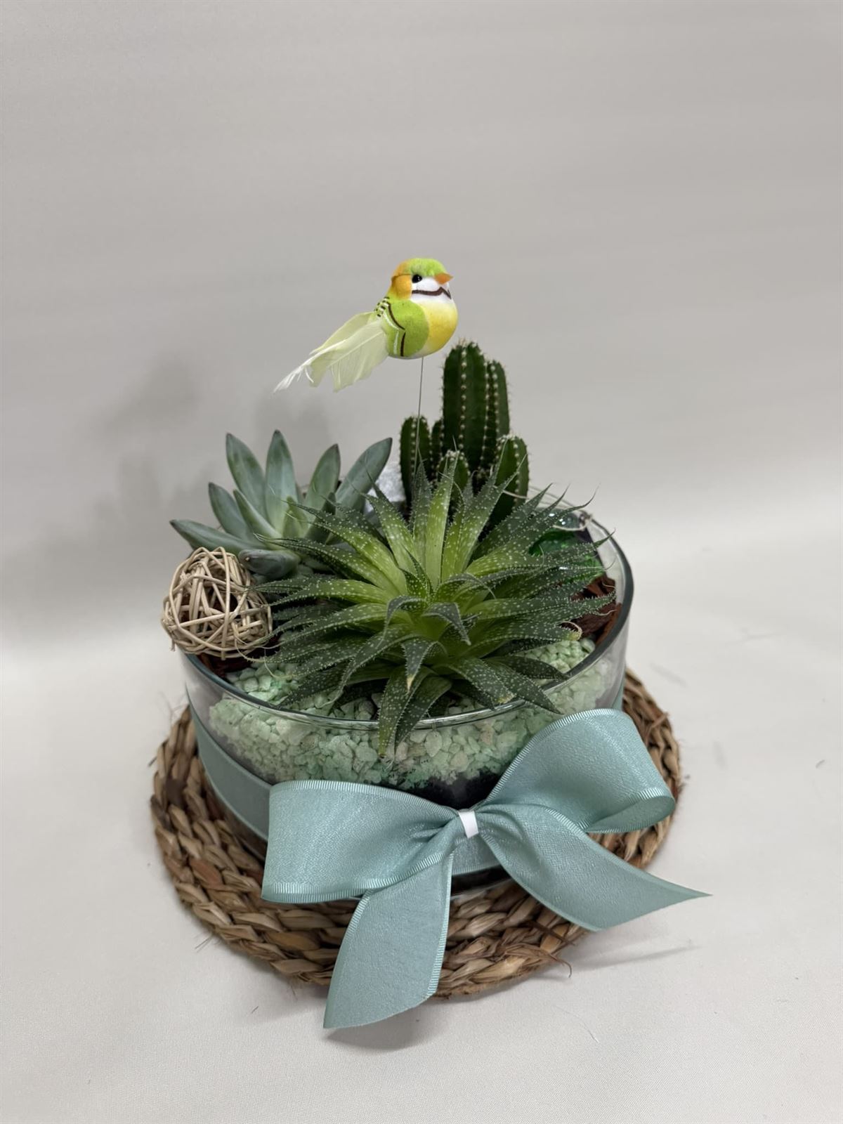 Terrario en cristal en tono verde - Imagen 3