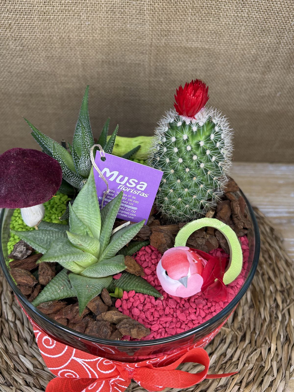 Terrario en cristal redondo en tonos rojos - Imagen 2